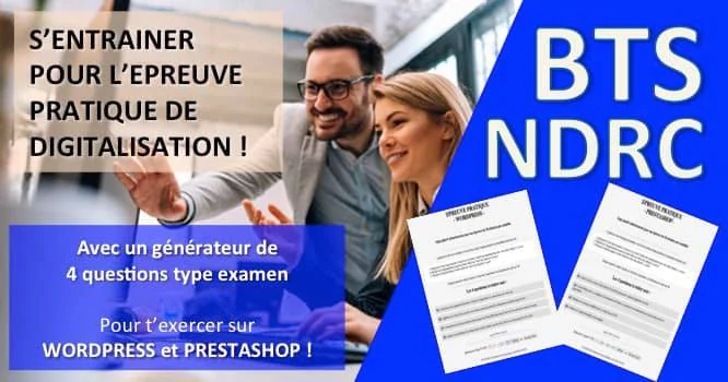 S’entraîner pour l’épreuve pratique E5 de digitalisation du BTS NDRC